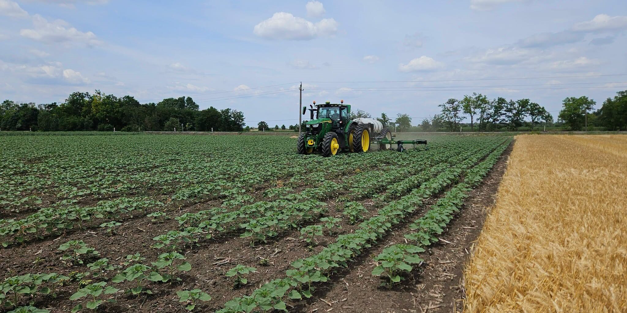 Javaslatokat tettünk a minisztériumnak az agrárdigitalizáció fejlesztése érdekében
