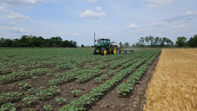 Javaslatokat tettünk a minisztériumnak az agrárdigitalizáció fejlesztése érdekében